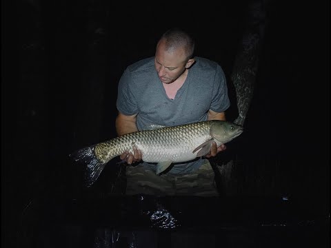 Karpiowa Przygoda #51 Azjata Rulezz [4K]