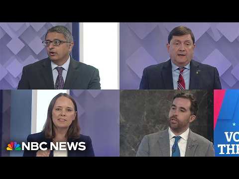 Maine Democratic Senate candidates discuss how they would face Susan Collins