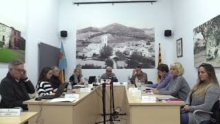 Ple ordinari Vallromanes 20/03/2025