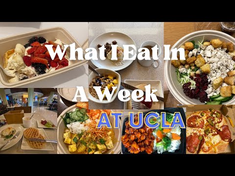 What I Eat in a Week at UCLA| best college dining hall in America
