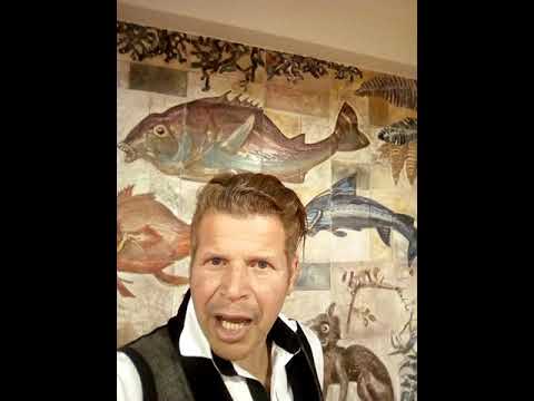 Creatividad   ilimitada