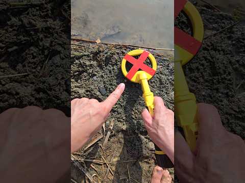 Found a dog with a metal detector