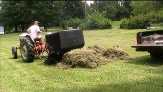 Harvesting and Using Grass Clippings as Mulch to Conserve Water in the Garden