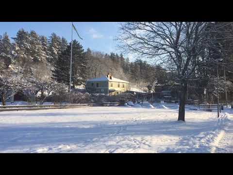 White winter in Sweden ❄️