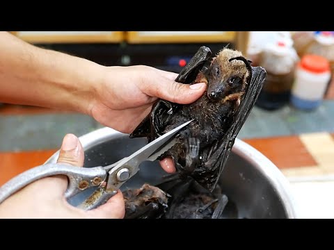 Palau Food -  FRUIT BAT Cooked Two Ways FC Seafood Koror