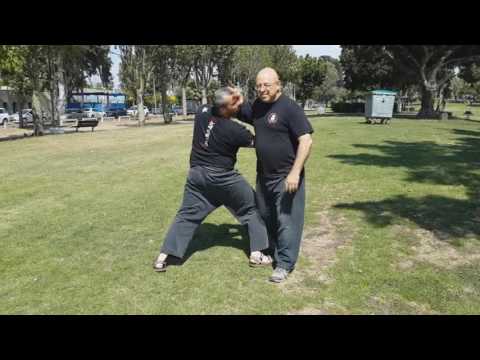 סדנא בעקבות המסע ליפן