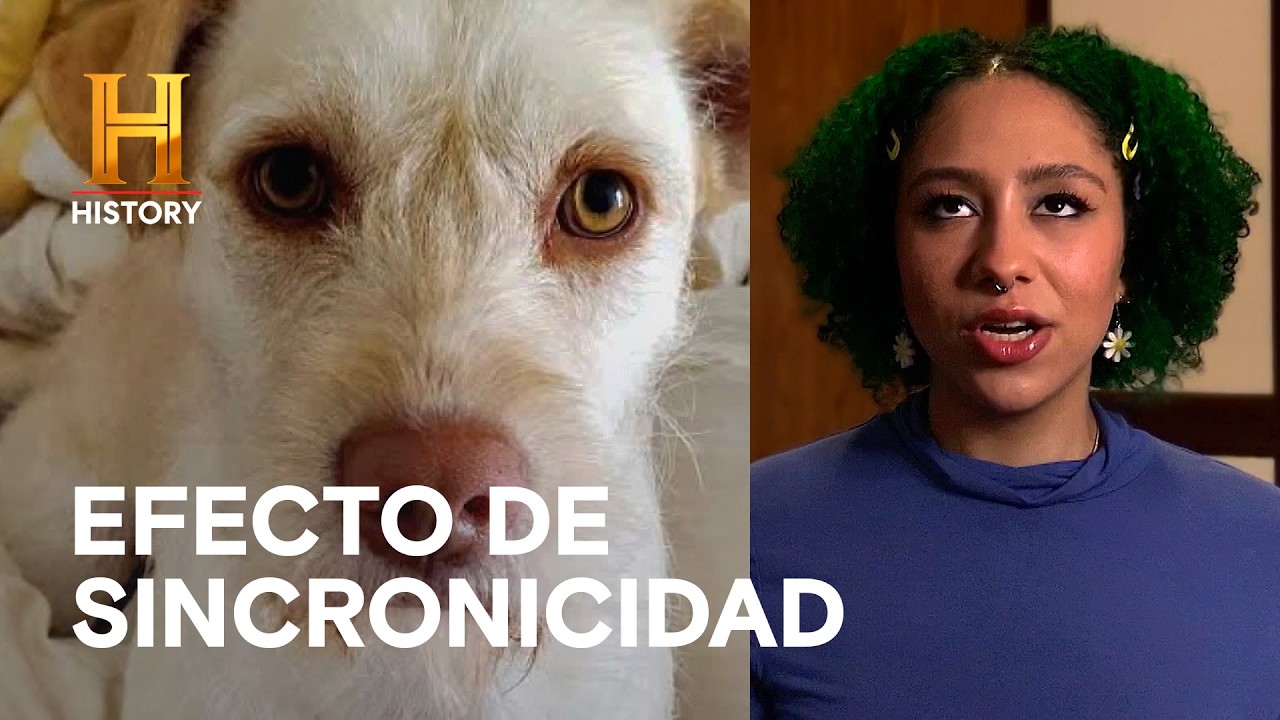 Vírgen que Llora y el Poder de la Mente - LA EVIDENCIA ESTÁ ENTRE NOSOTROS