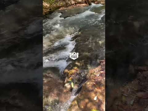Cachoeira de Miravânia