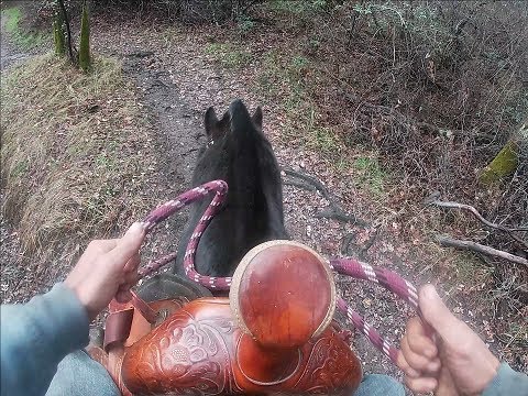 How To Stop Your Horse From Stumbling So Much, Mike Hughes, Auburn California