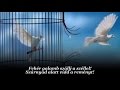 Scorpions : White Dove / Fehér galamb (magyar ...
