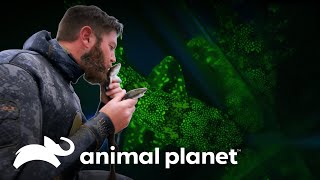 Thumbnail del capítulo