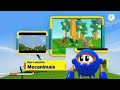 Crédito Rosita Fresita A Continuacion Mecanimales Discovery Kids