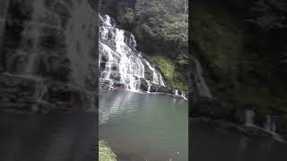 preview picture of video 'Elephant falls..shillong.'