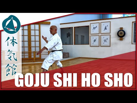 HOW TO: GOJU SHI HO SHO – SLOW & FAST | Shōtōkan Karate Technique by Fiore Tartaglia