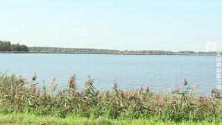 Ссылка