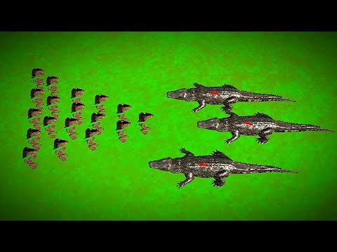 GIANT CAYMAN vs WEREWOLVES - Animal Revolt Battle Simulator