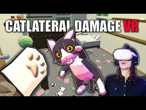 Кот в очках. Полное погружение в жизнь кота. Окулус кошка. Playroom ps4. Кот в вр шлеме.