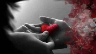 SERGIO VEGA - DOS RAMAS IGUALES.wmv