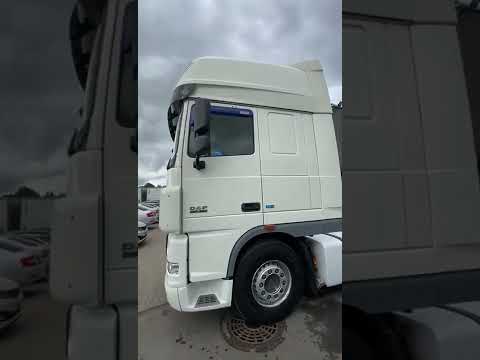 2013 Vilcējs 4x2 DAF FT XF105.460