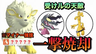 クチートとサーフゴーをまとめて対策！あの技を採用したウィンディが受けループと相性抜群！