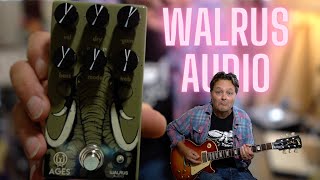 Video thumbnail for Why Settle For One Stage When You Can Have Five | The Walrus Ages Five Stage Overdrive by Peter Honoré