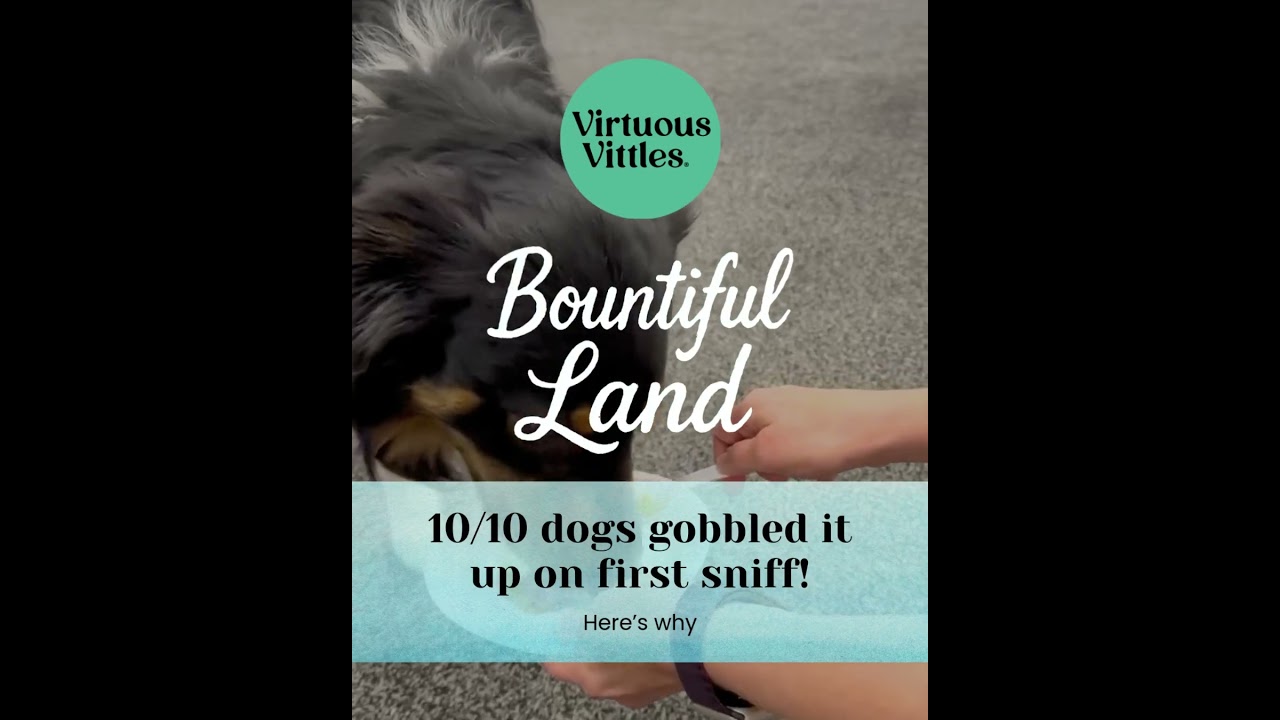 10/10 dogs love us!