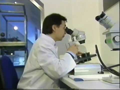 Freiesleben GmbH: Fernsehbeitrag Drehscheibe Deutschland (ZDF)