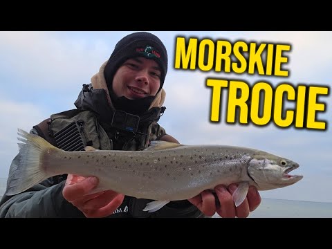 SEA TROUT!!! | BALTIC SEA FISHING FROM SHORE | December 2025