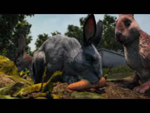 Watership Down Narration Cowslip's Warren PART 1