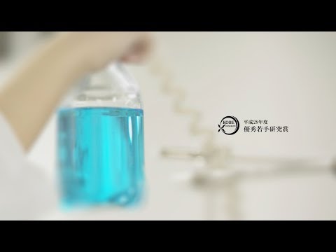 平成28年度優秀若手研究賞