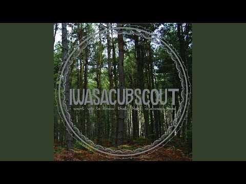 Save Your Wishes - I Was a Cub Scout