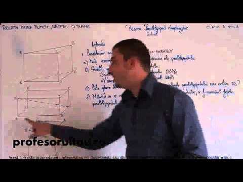 31   Relatii intre puncte, drepte si plane   prisma paralelipiped dreptunghic cubul   partea 2