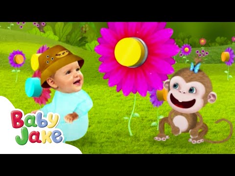 Baby Jake | Magic Monkey Moments 🐵 | Episodes