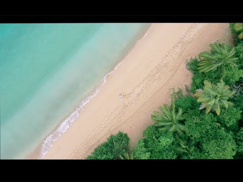 Kayass - Lavande (Clip Officiel)