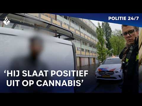 Rijden onder invloed van cannabis | POLITIE 24/7