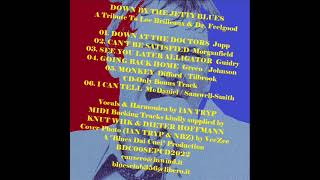 I CAN TELL - Tribute To Lee Brilleaux by Ian Tryp's Midi Life Crisis