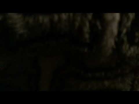 Saddest moments about sonic X