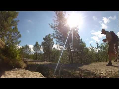 Auf dem Franziskusweg: Sonnengesang des hl. Franziskus — Angelo Branduardi — hl. Franz von Assisi