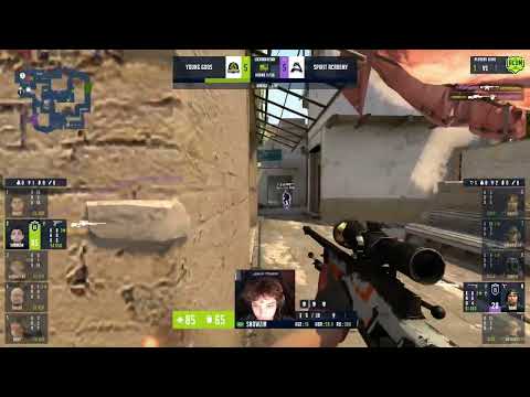 SNOWZIN, O M0NESY BRASILEIRO?