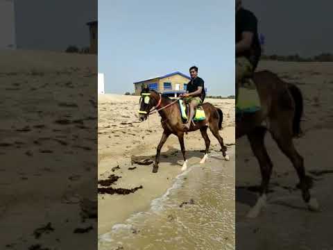 Sajjad Vlogs | Sajjad Hores Riding | Hawkesbay is a beach in Karachi