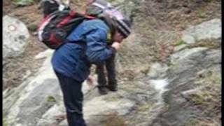 The knife - forest families