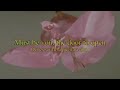 Home Again - Beach House (Lyrics-Sub) - Aldebaran Home Again - Beach House (Lyrics-Sub)