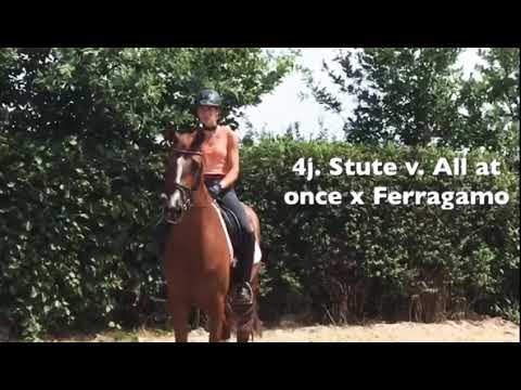 4j. Stute v. All at once mal Ferragamo