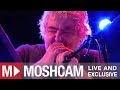 Daniel Johnston - Revolution (The Beatles) | Live in Sydney | Moshcam