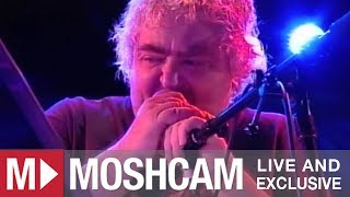 Daniel Johnston - Revolution (The Beatles) | Live in Sydney | Moshcam