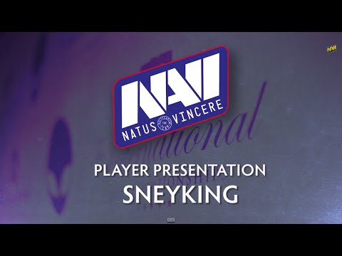 Na`Vi.US.SneyKing - The International 4 Player Profile