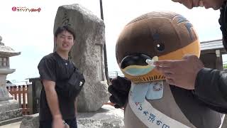 2026/7/2放送・知ったかぶりカイツブリにゅーす