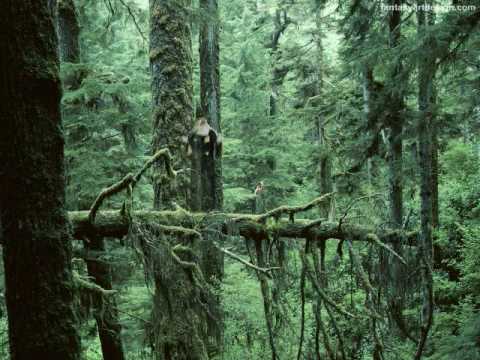 Binary Finary - 1998 (Switch vs Dynamic Rmx)