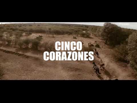 Llega el premiado documental "Cinco Corazones", sobre el maltrato a caballos en Argentina