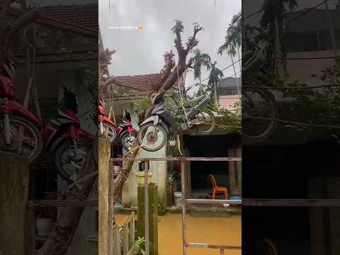 Chống Ngập Xe Bằng Cách Này